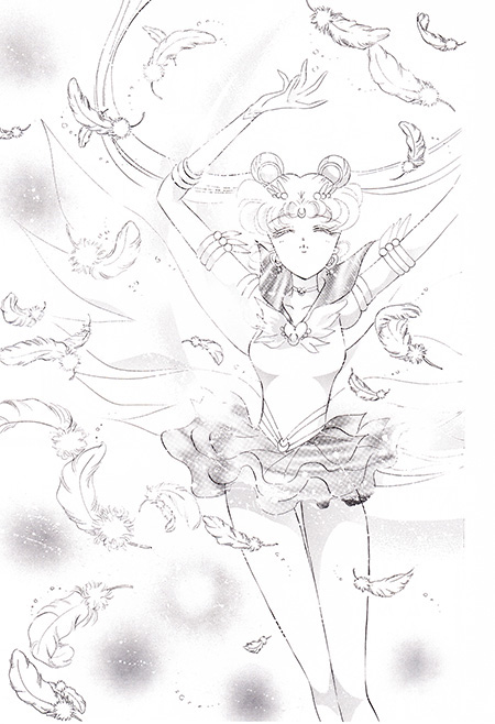 Detailed artwork in Pretty Guardian Sailor Moon